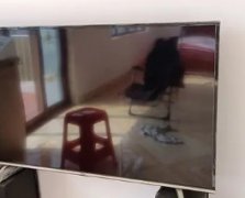 TCL55寸电视机。可以链接WLAN