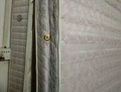 回收一切成色稍好的家具，床铺，沙发，衣柜，都可以